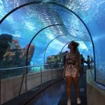 اكواريوم برشلونة
