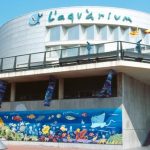 اكواريوم برشلونة