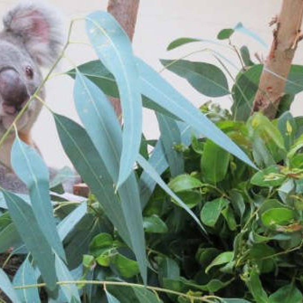 اكواريوم حديقه حيوانات مدريد ٣