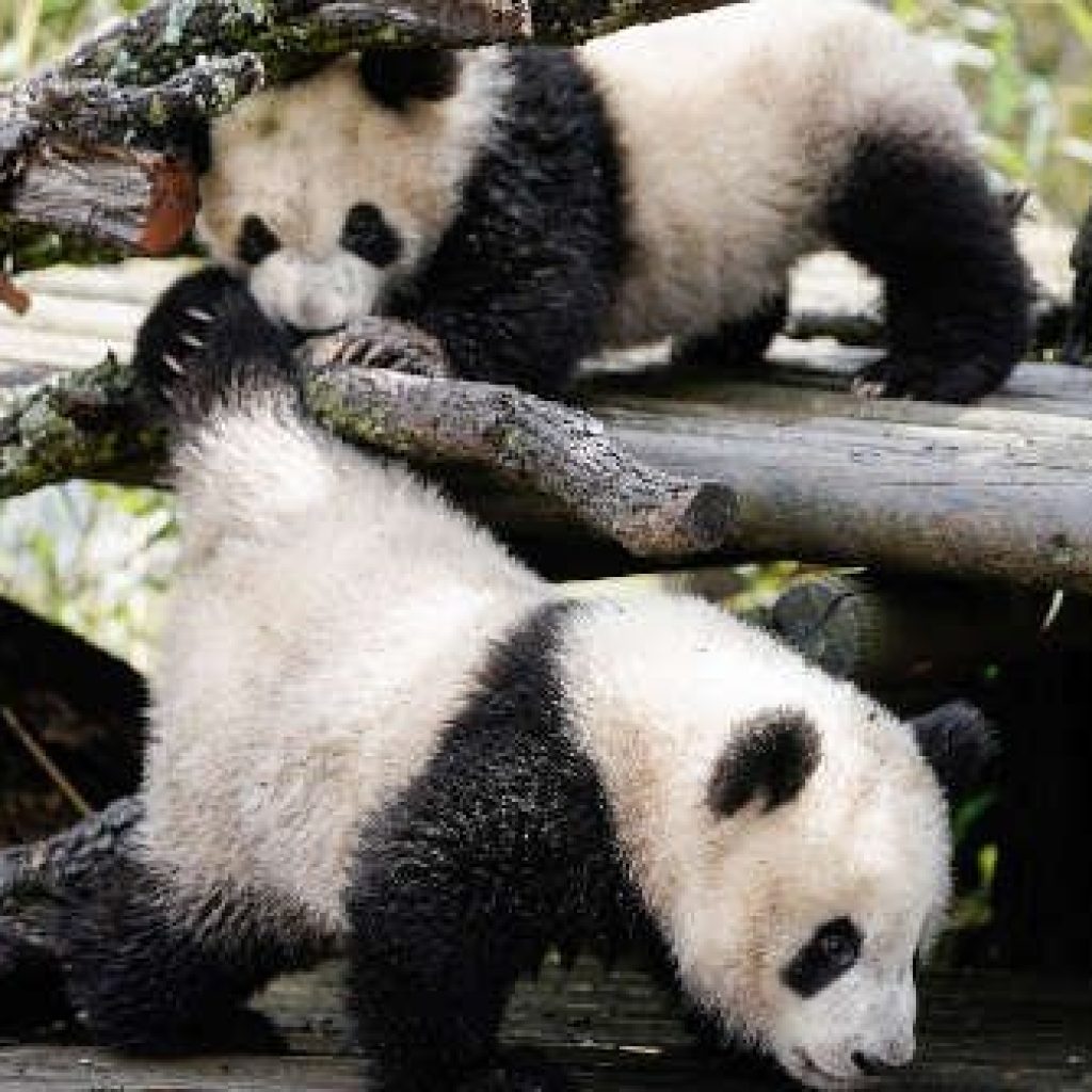 اكواريوم حديقه حيوانات مدريد ٥