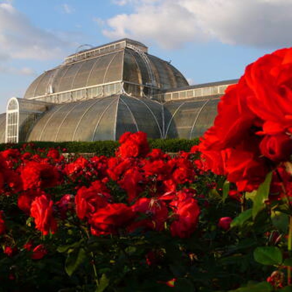 الحدائق النباتية الملكية، كيو
