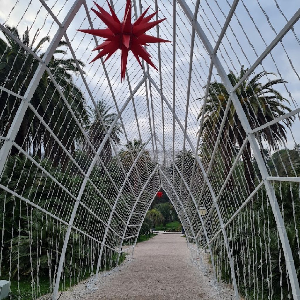 الحديقة النباتية (2)