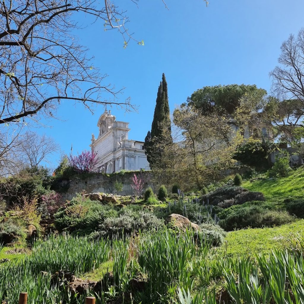 الحديقة النباتية (3)