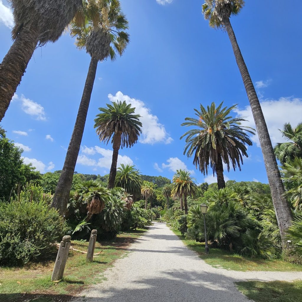 الحديقة النباتية