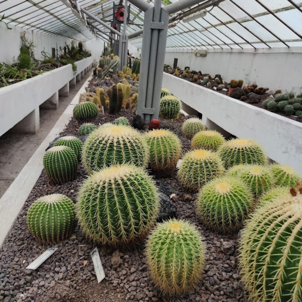 الحديقة النباتية (9)