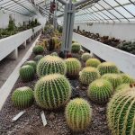 الحديقة النباتية (9)