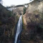 الحديقة النباتية الوطنية في جورجيا44