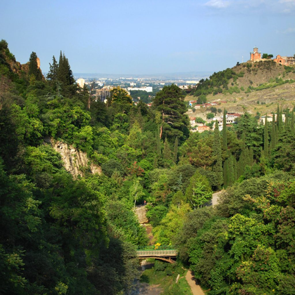 الحديقة النباتية الوطنية في جورجيا55