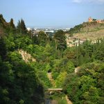 الحديقة النباتية الوطنية في جورجيا55