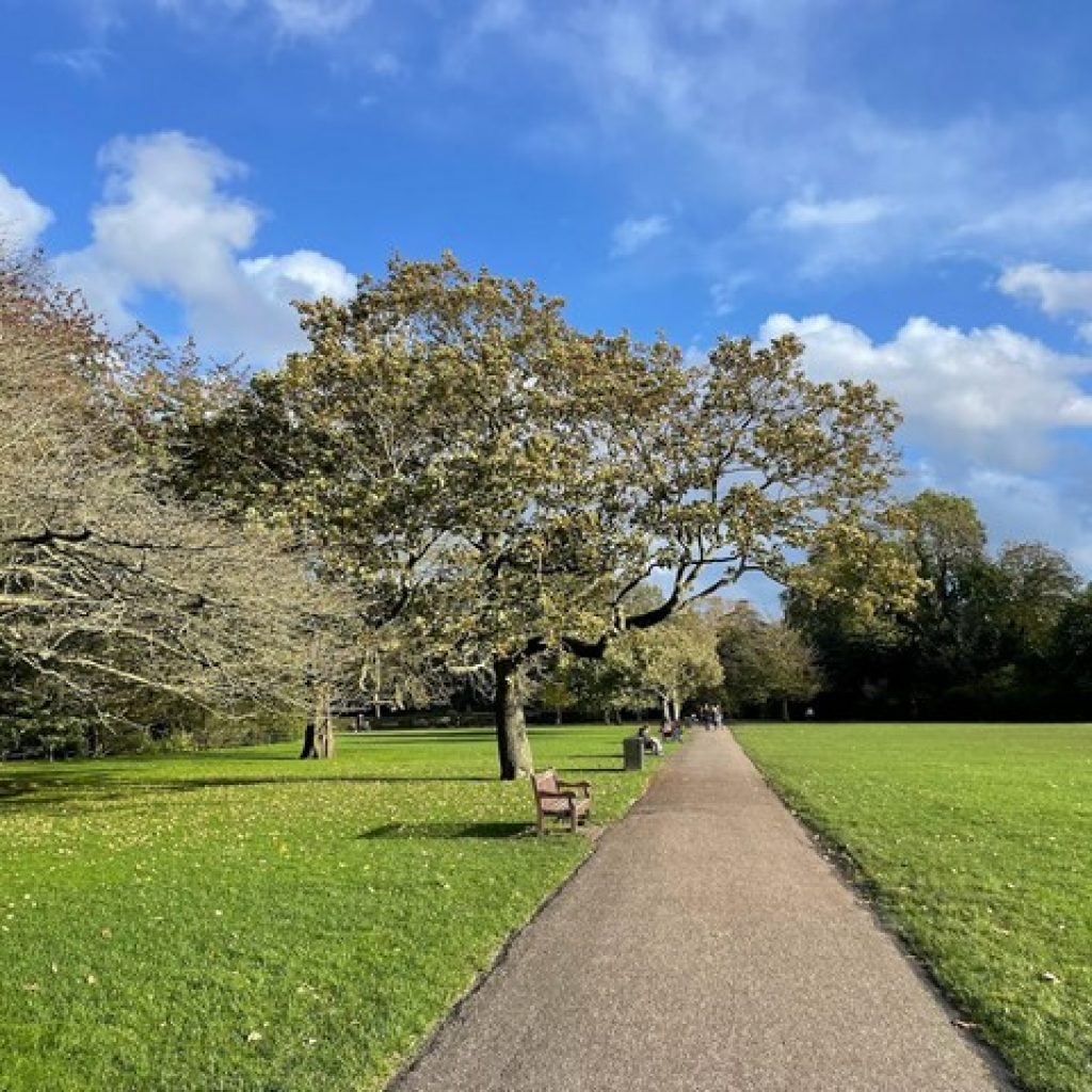 باترسي بارك لندن