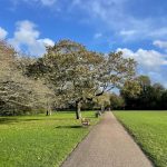 باترسي بارك لندن