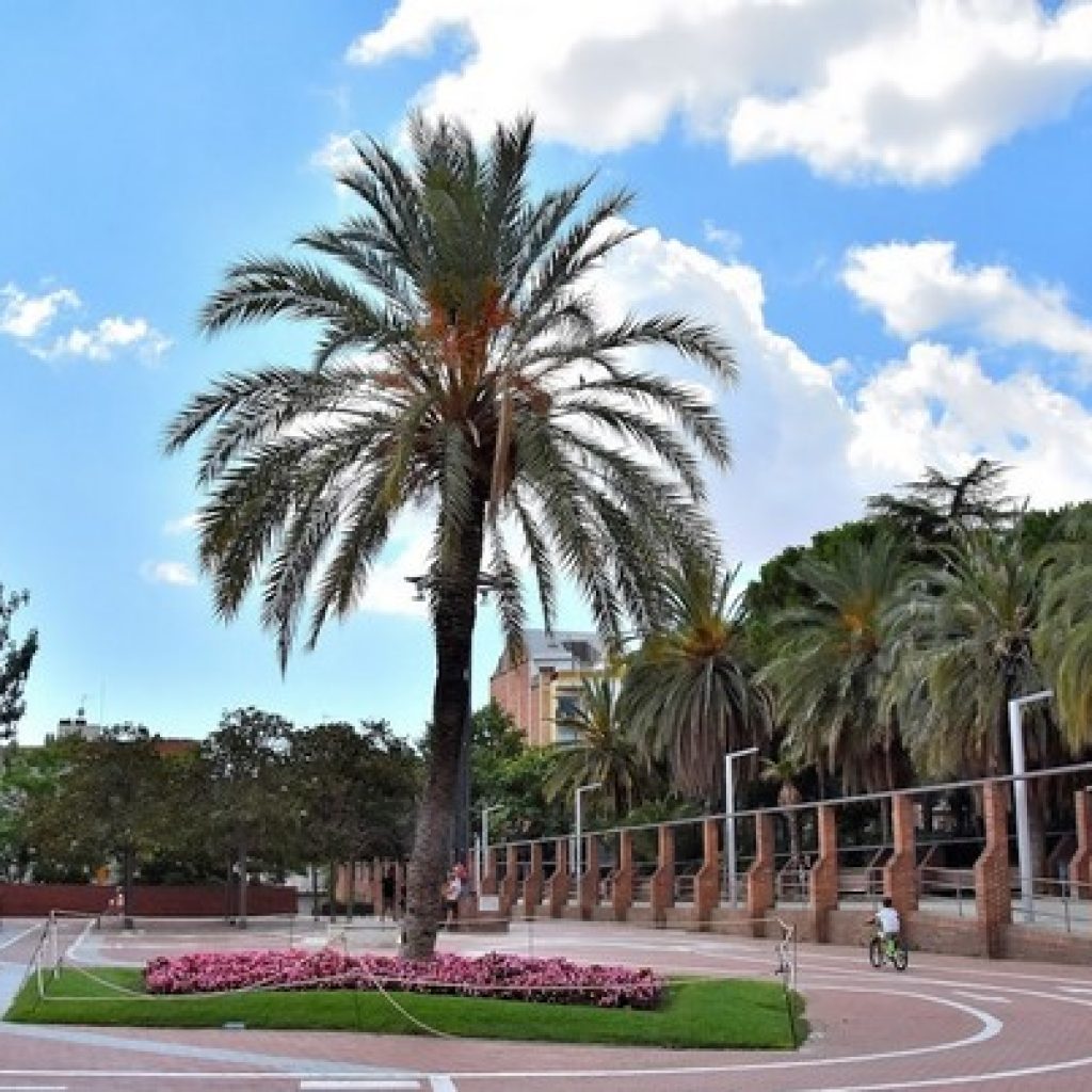 بارك دي لا بيجاسو