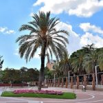 بارك دي لا بيجاسو