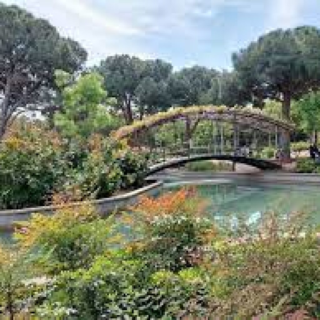 بارك دي لا بيجاسو