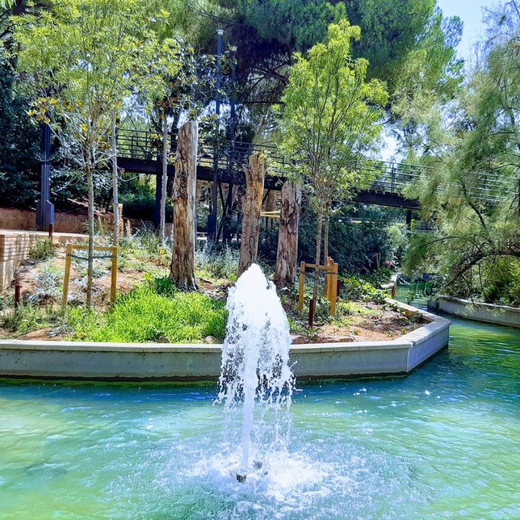 بارك دي لا بيجاسو