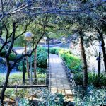 بارك دي لا بيجاسو