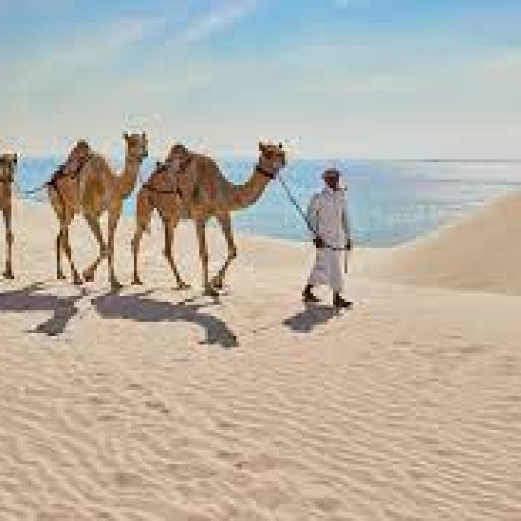 بحر الخور الداخلي2