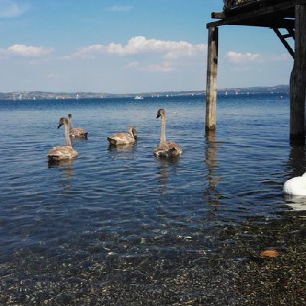 بحيرة براتشانو (4)