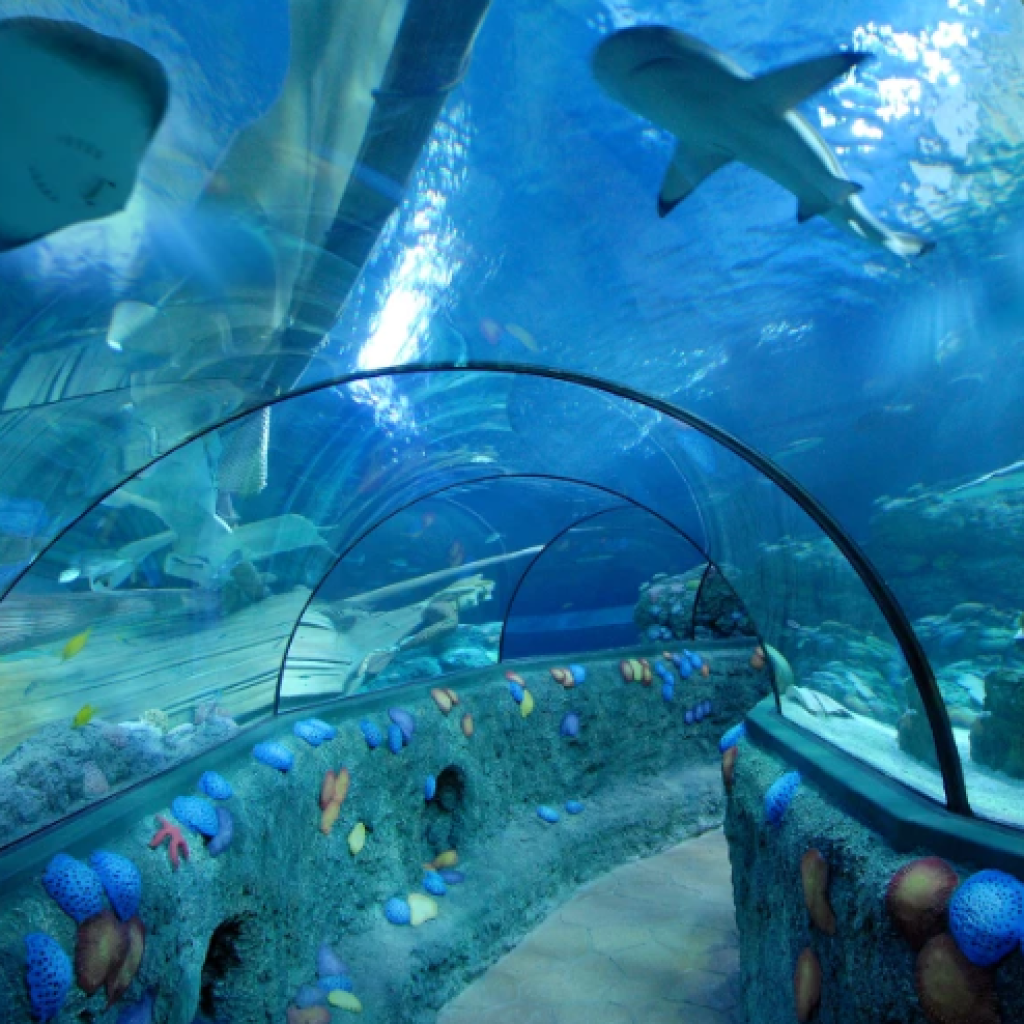 جاردا لاند سي لايف أكواريوم روما