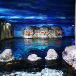 جاردا لاند سي لايف أكواريوم روما (3)