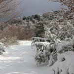 جبل تيرمينيللو (4)