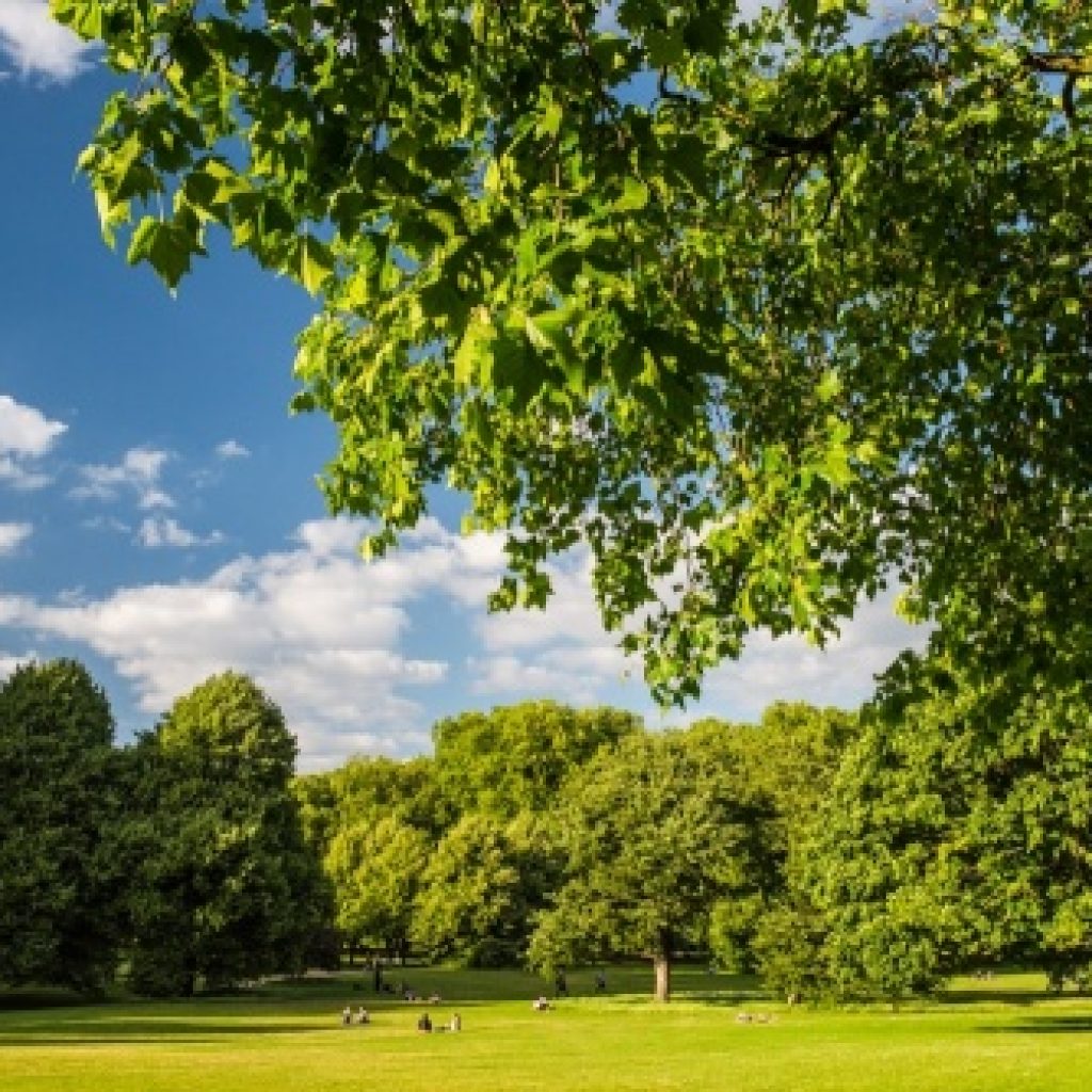 جرين بارك لندن