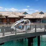 جزيرة الموز4