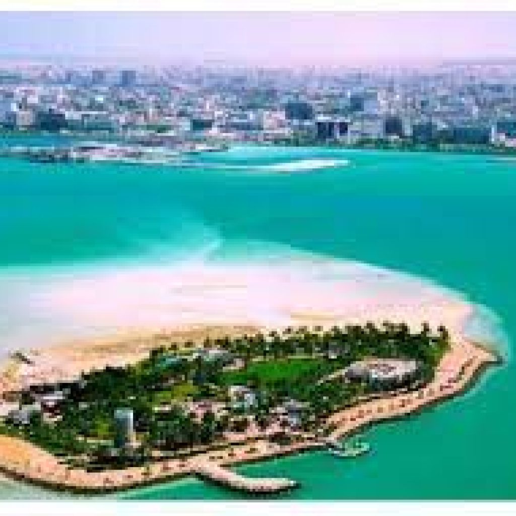 جزيرة النخيل1