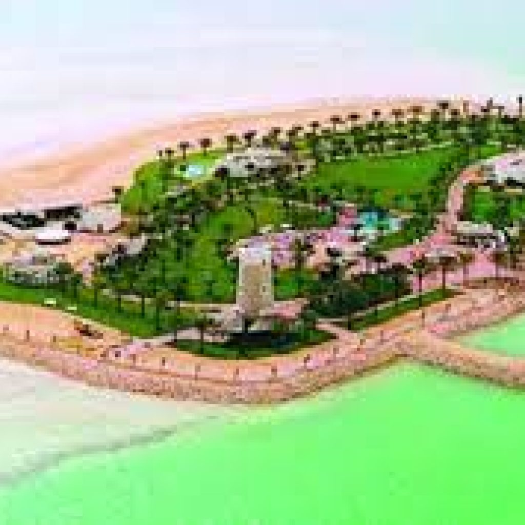 جزيرة النخيل2