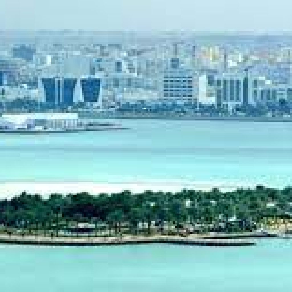 جزيرة النخيل5