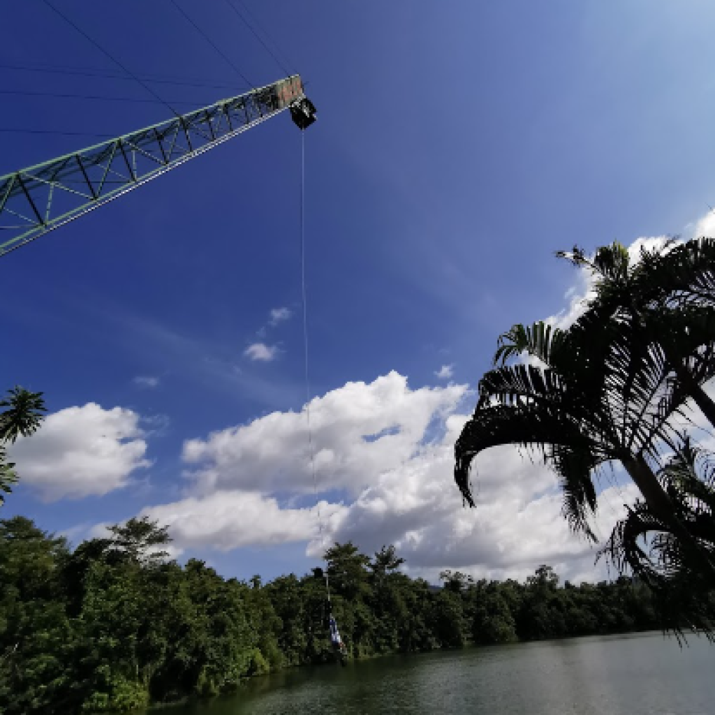 جنغل بنجي جمب