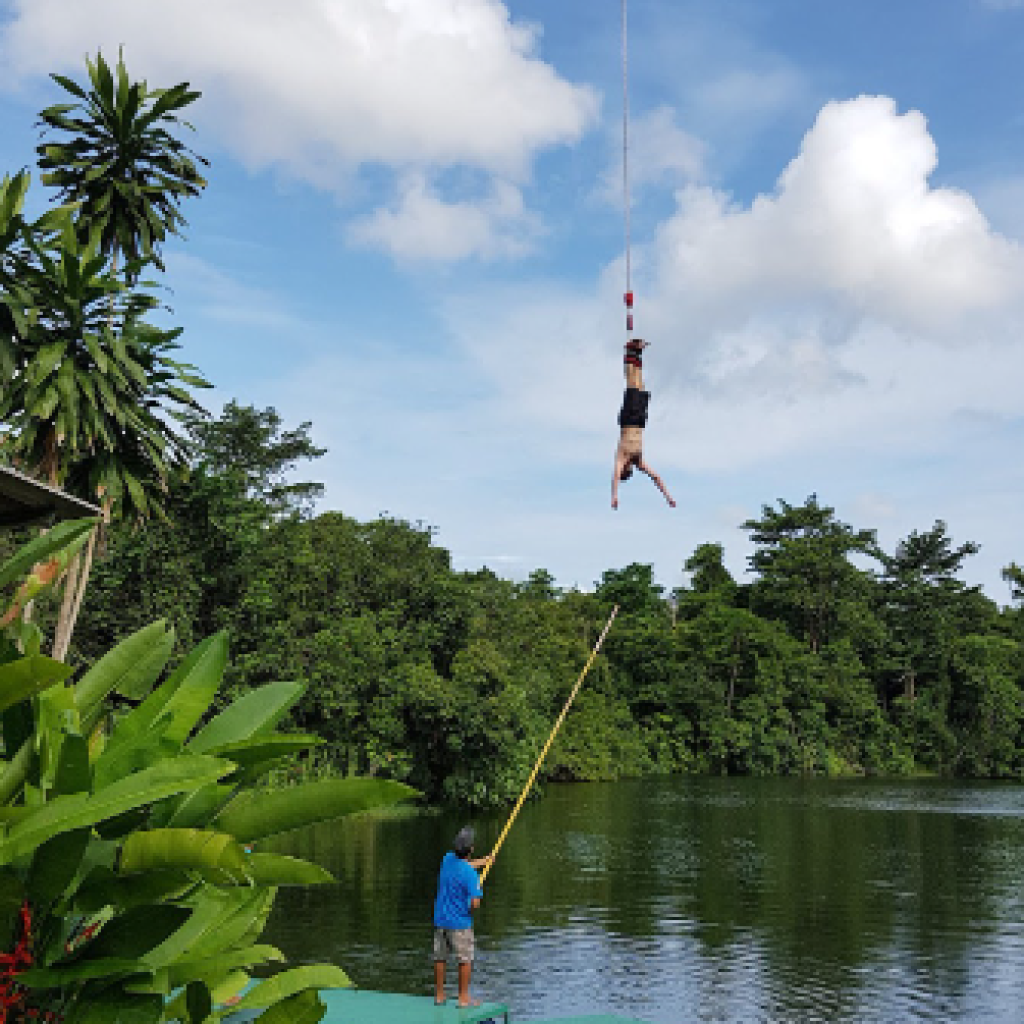 جنغل بنجي جمب ٣