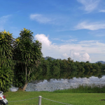 جنغل بنجي جمب ٤