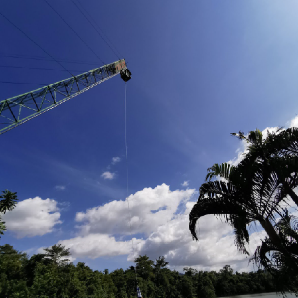 جنغل بنجي جمب ٥