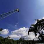 جنغل بنجي جمب ٥