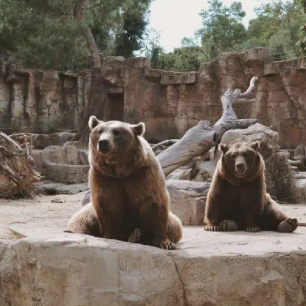 أهم حدائق الحيوان والاكواريوم في مدينة روما