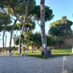 حديقة البرتقال (1)