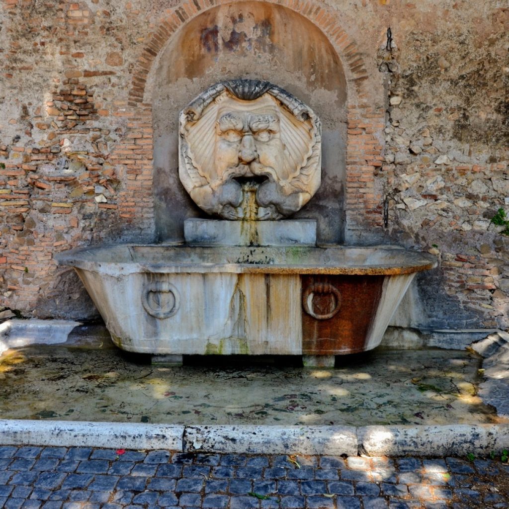 حديقة البرتقال (2)