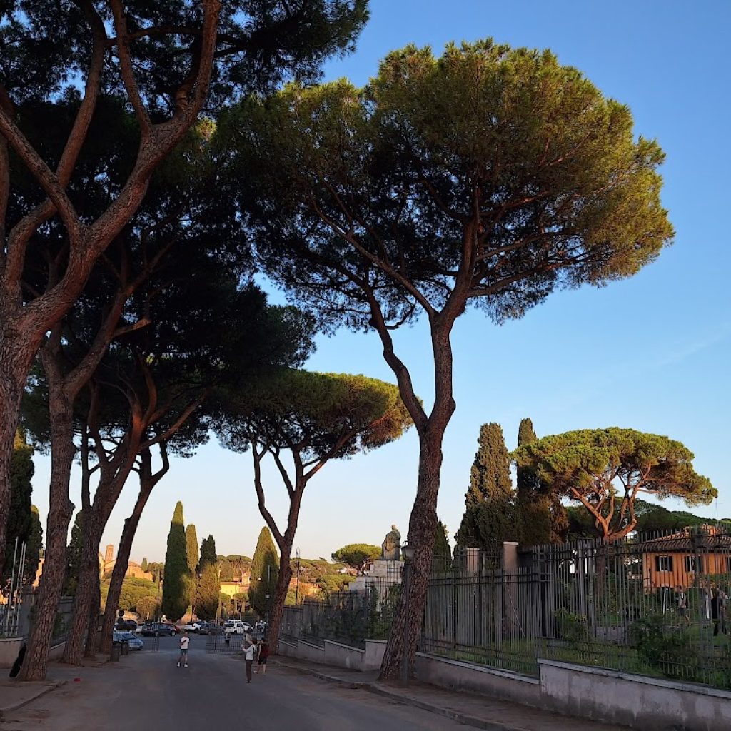 حديقة البرتقال (4)