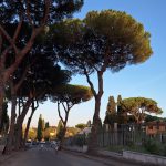 حديقة البرتقال (4)