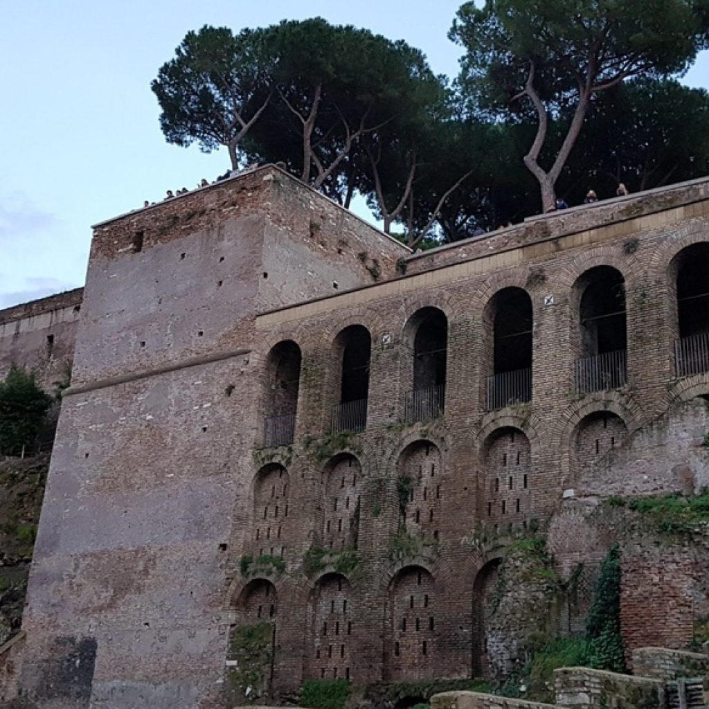 حديقة البرتقال (7)