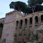 حديقة البرتقال (7)