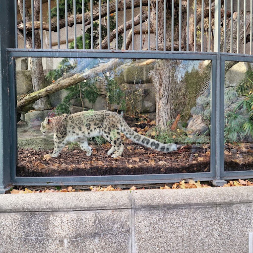 حديقة الحيوان (دو جاردن ديس بلانت)3