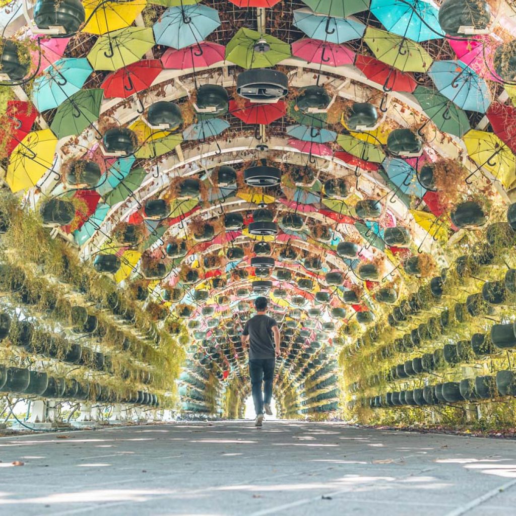 حديقة المظلة1