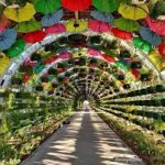 حديقة المظلة2