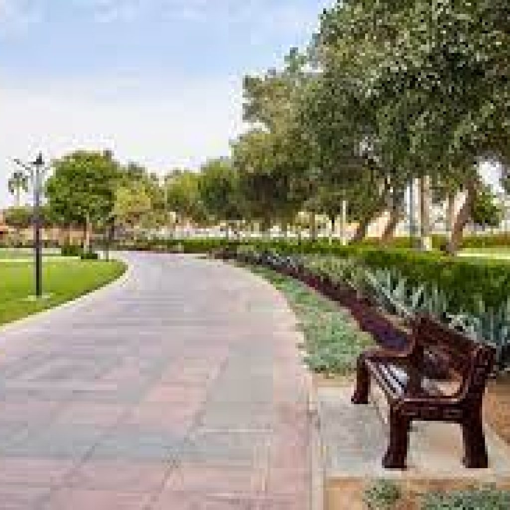 حديقة المظلة5