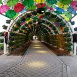 حديقة المظلة7