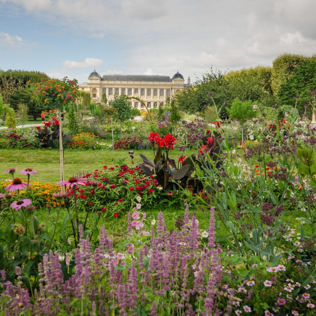 حديقة النباتات