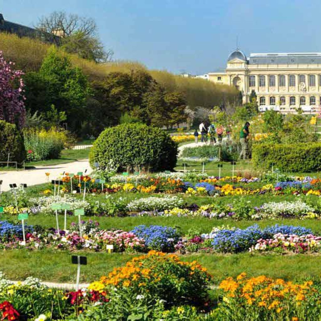 حديقة النباتات1