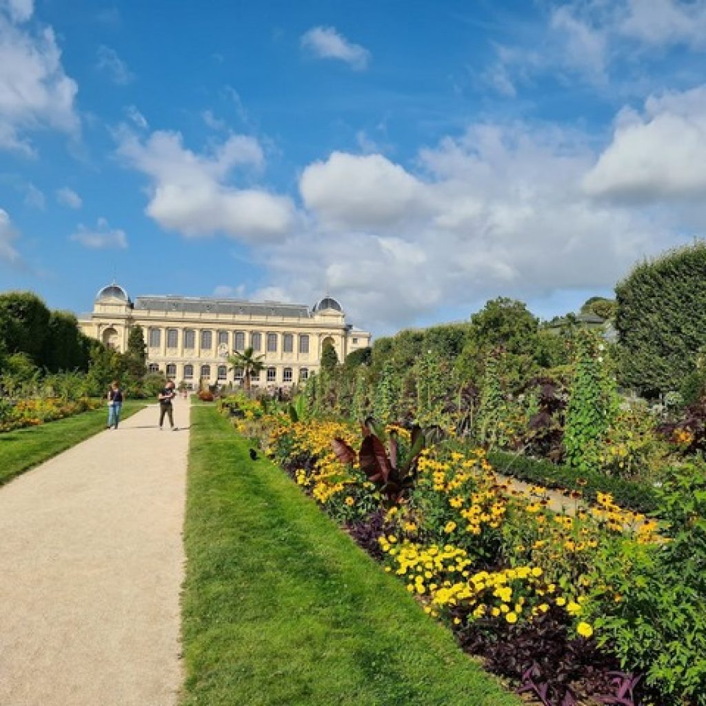 حديقة النباتات2